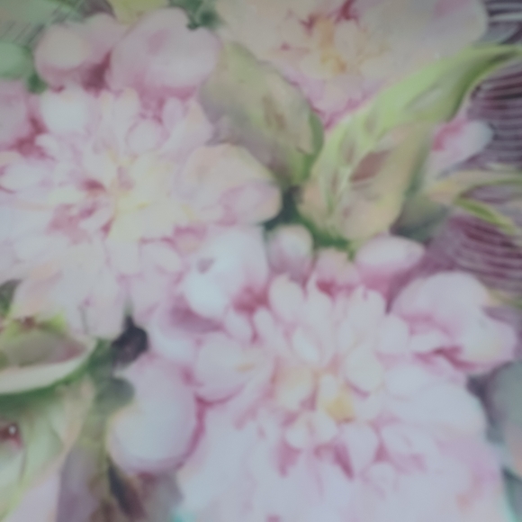 LIMOGES FRANCE 10"VINTAGE HAND PAINTED PLATE PEONIES - Picture 10 of 14